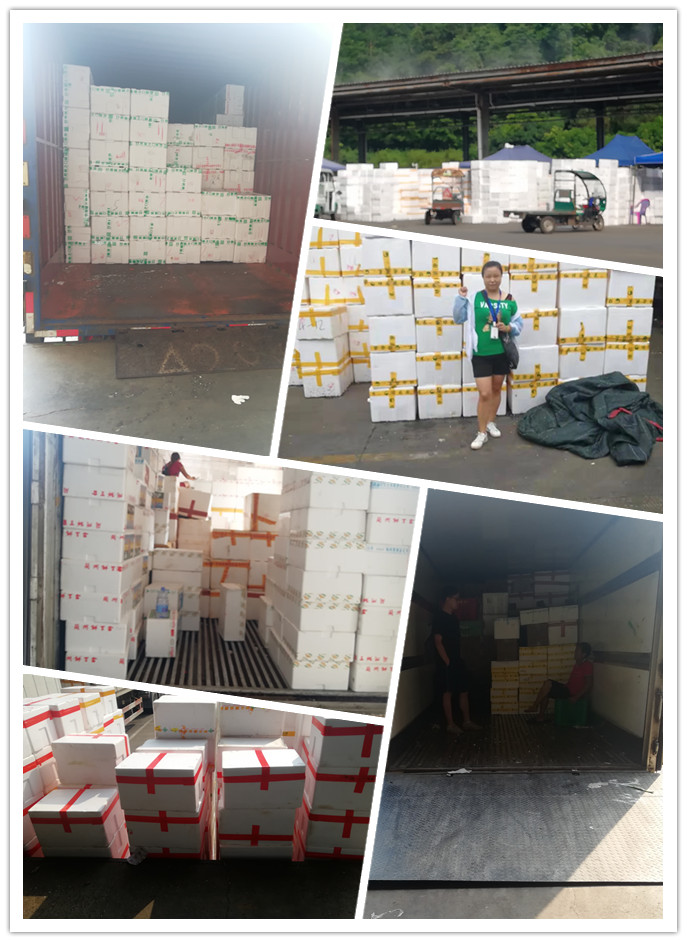 首页-PA集团有限公司官网入口