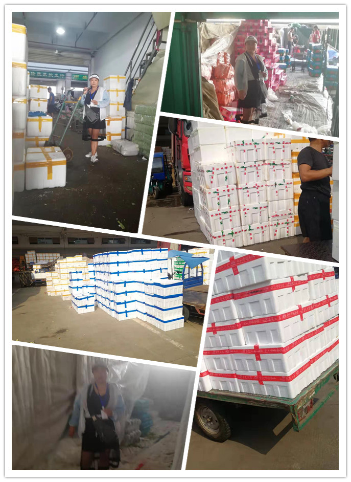 首页-PA集团有限公司官网入口