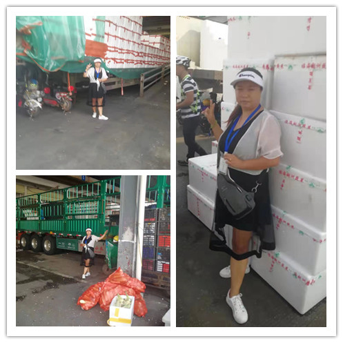 首页-PA集团有限公司官网入口