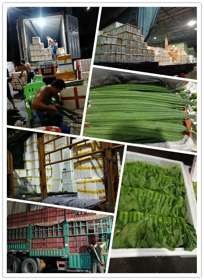 首页-PA集团有限公司官网入口