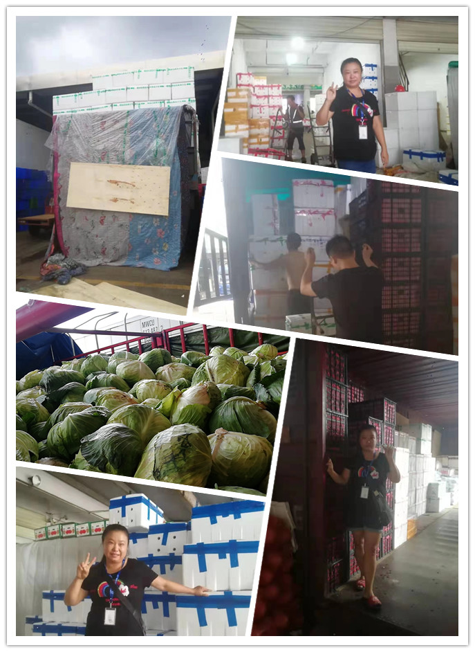 首页-PA集团有限公司官网入口