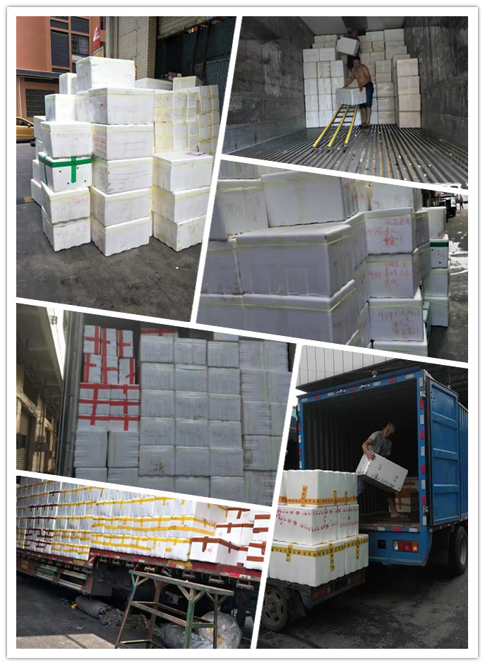 首页-PA集团有限公司官网入口