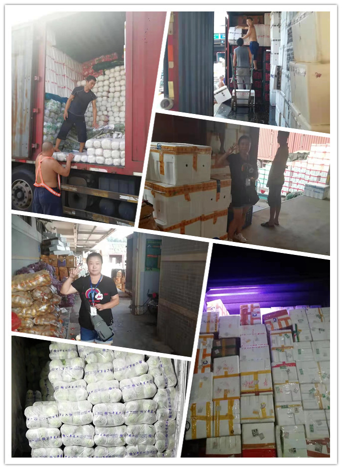 首页-PA集团有限公司官网入口