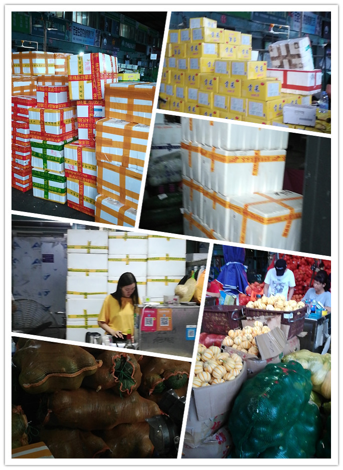 首页-PA集团有限公司官网入口