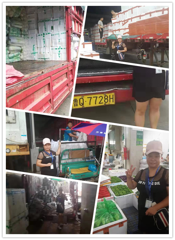 首页-PA集团有限公司官网入口