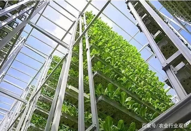 首页-PA集团有限公司官网入口