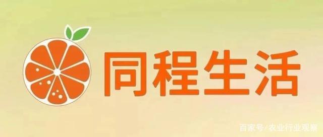 首页-PA集团有限公司官网入口