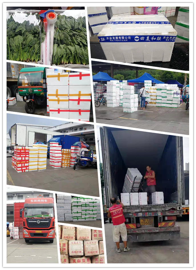 首页-PA集团有限公司官网入口