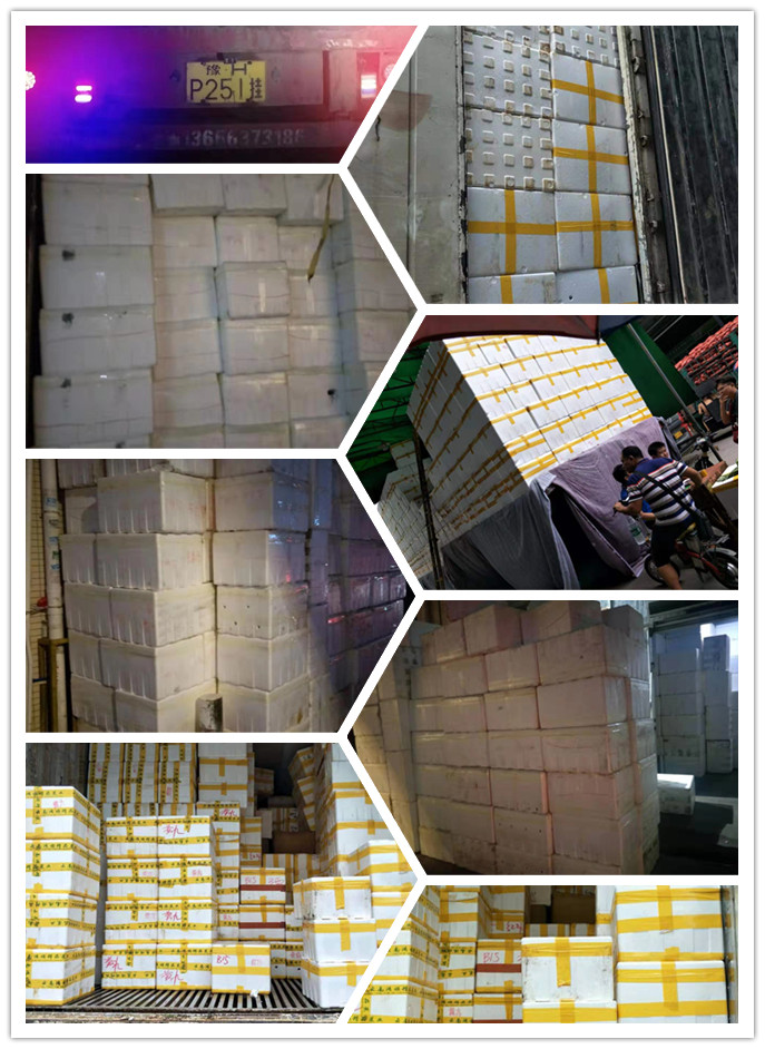 首页-PA集团有限公司官网入口