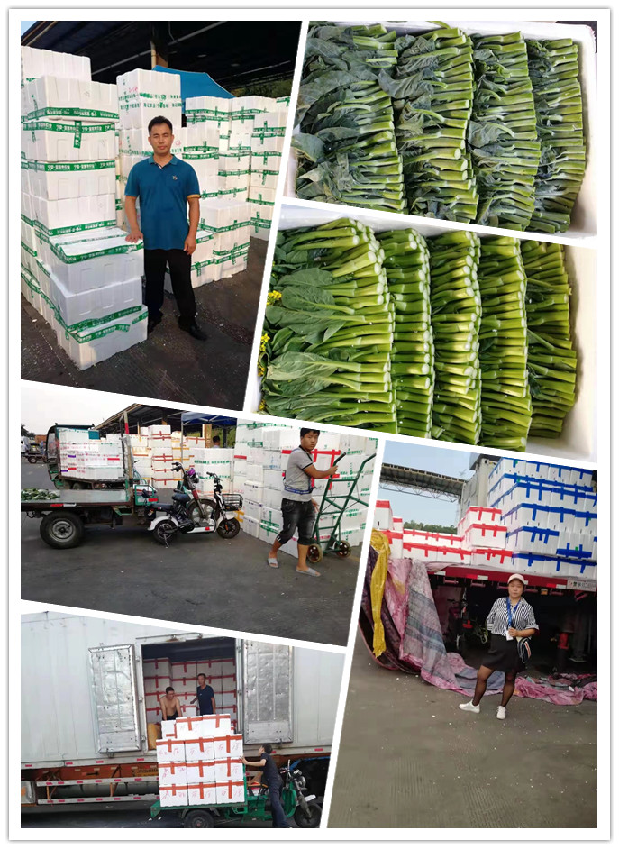 首页-PA集团有限公司官网入口