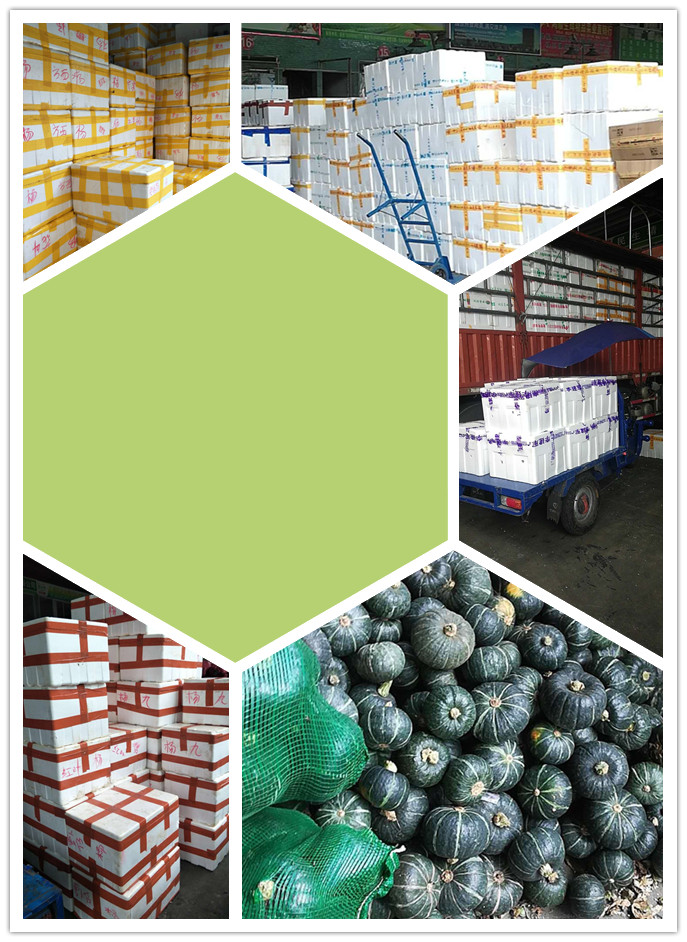 首页-PA集团有限公司官网入口