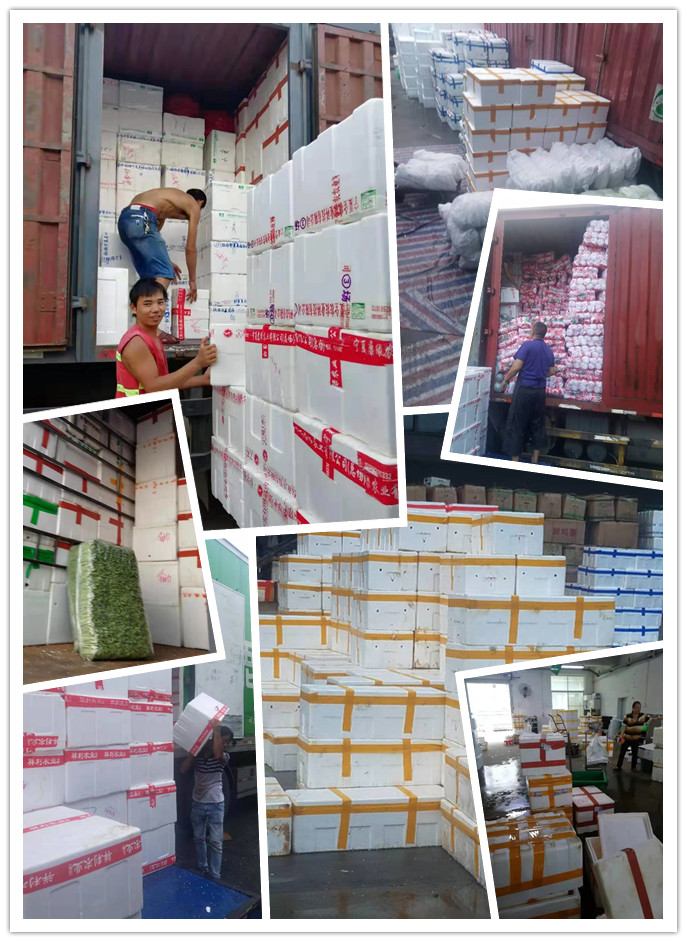 首页-PA集团有限公司官网入口