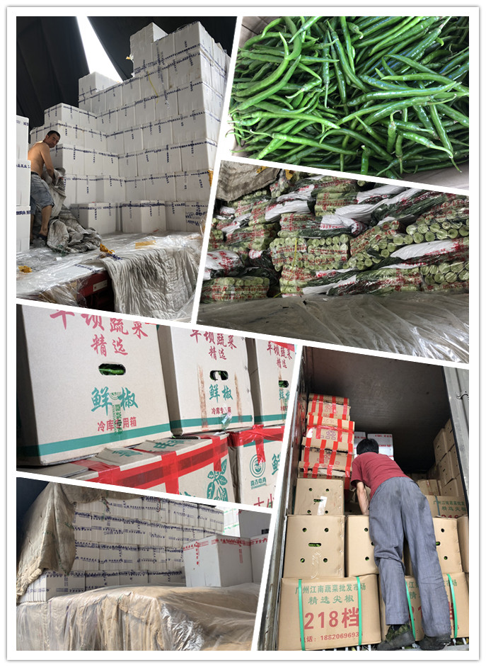 首页-PA集团有限公司官网入口