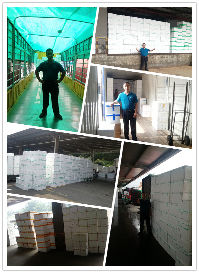 首页-PA集团有限公司官网入口