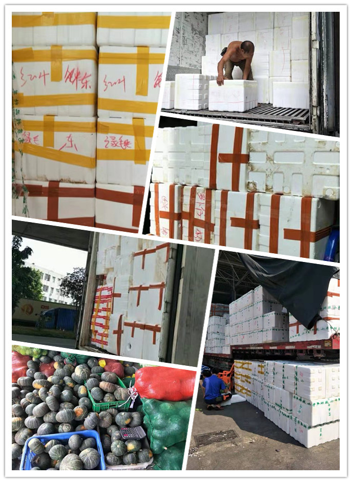 首页-PA集团有限公司官网入口