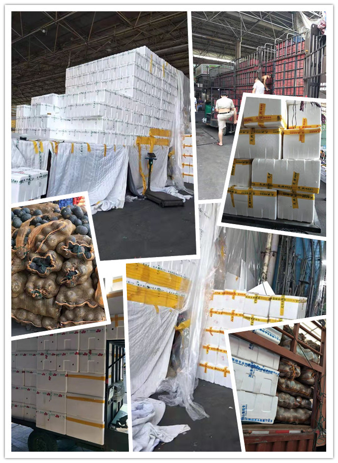 首页-PA集团有限公司官网入口