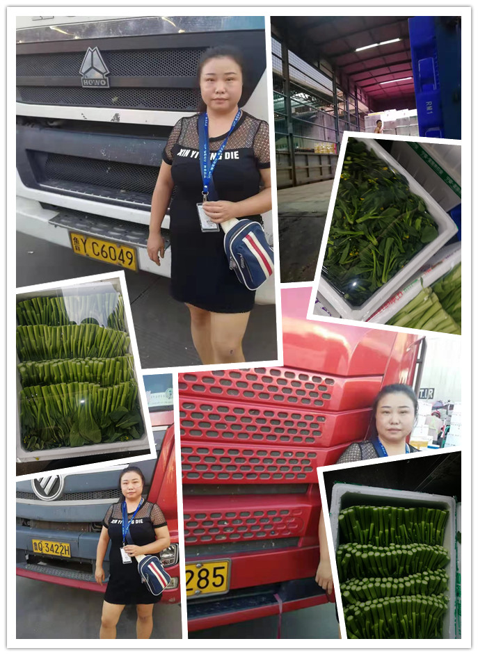 首页-PA集团有限公司官网入口