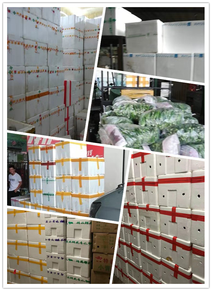 首页-PA集团有限公司官网入口