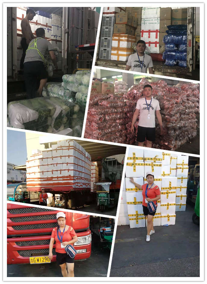 首页-PA集团有限公司官网入口