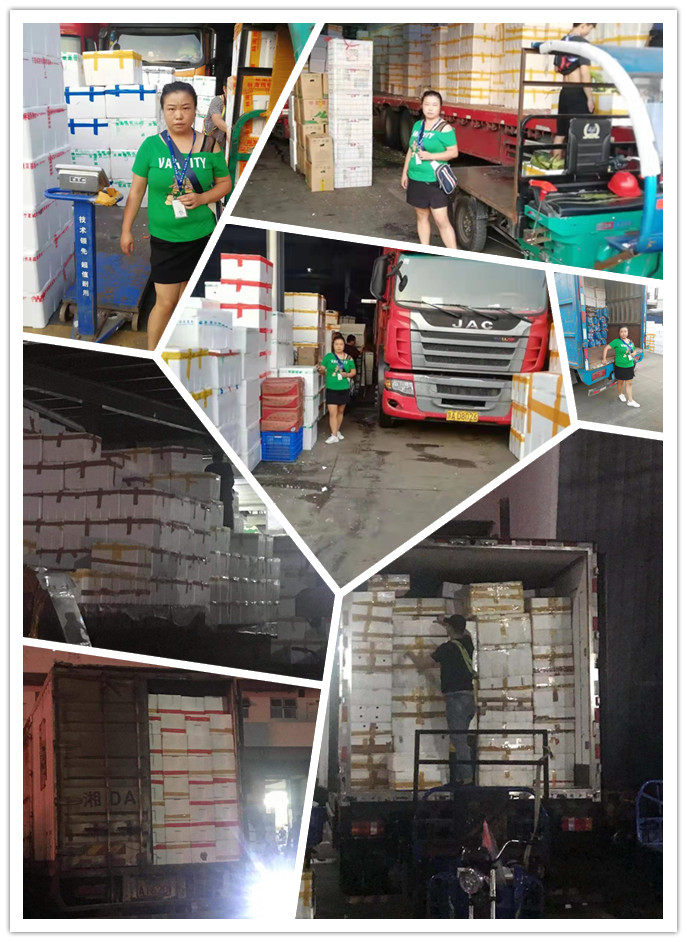 首页-PA集团有限公司官网入口