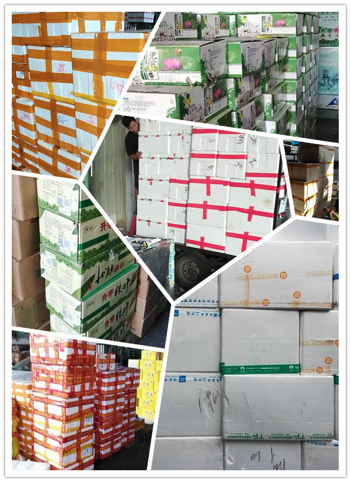 首页-PA集团有限公司官网入口