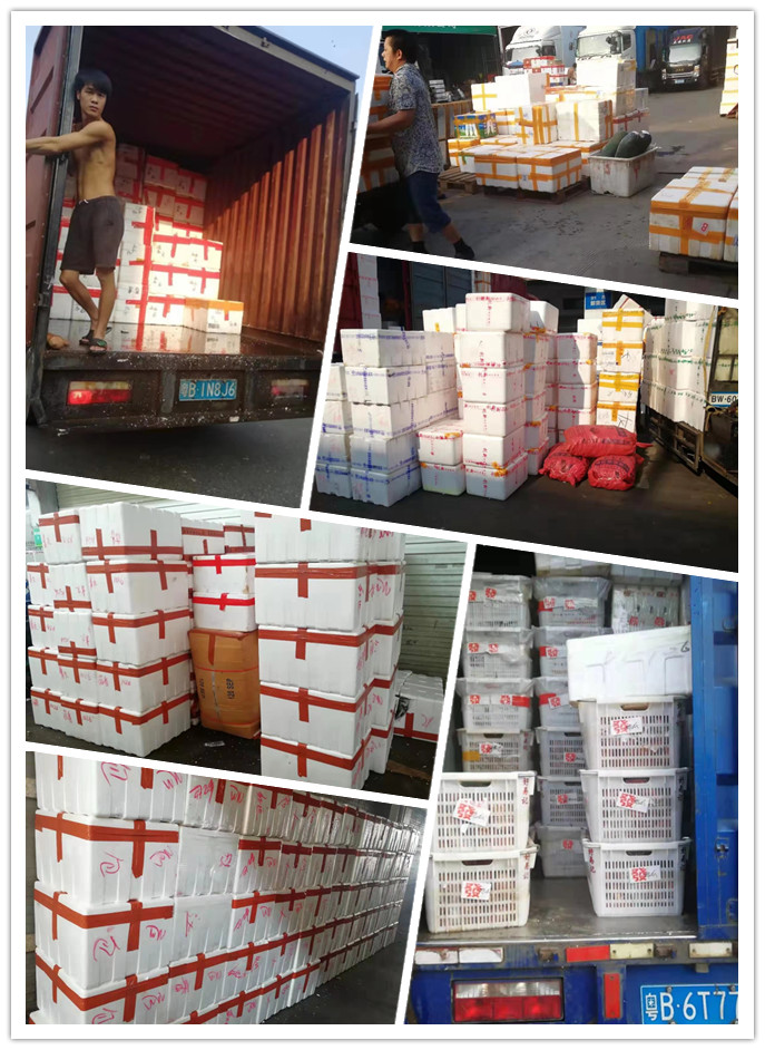 首页-PA集团有限公司官网入口