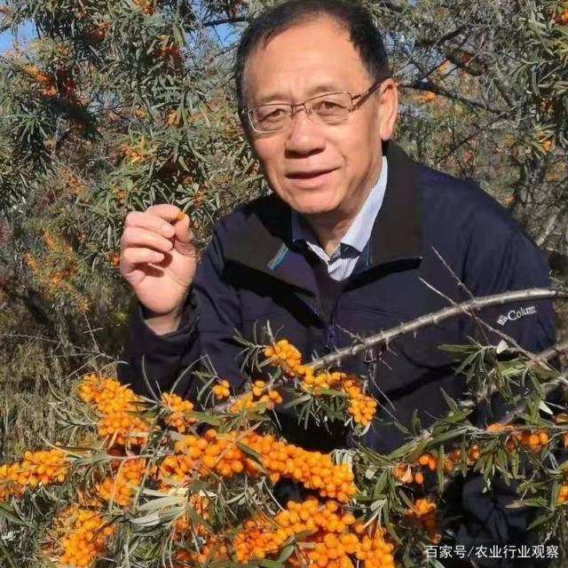 首页-PA集团有限公司官网入口