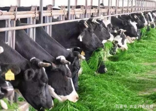 首页-PA集团有限公司官网入口