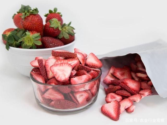 首页-PA集团有限公司官网入口