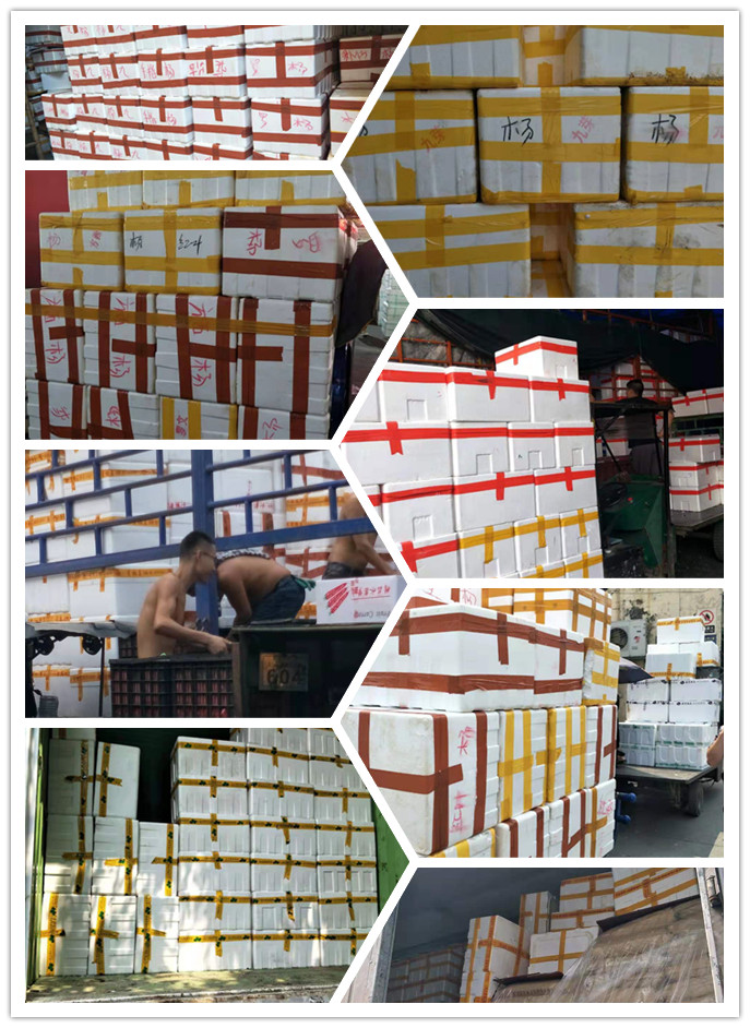 首页-PA集团有限公司官网入口