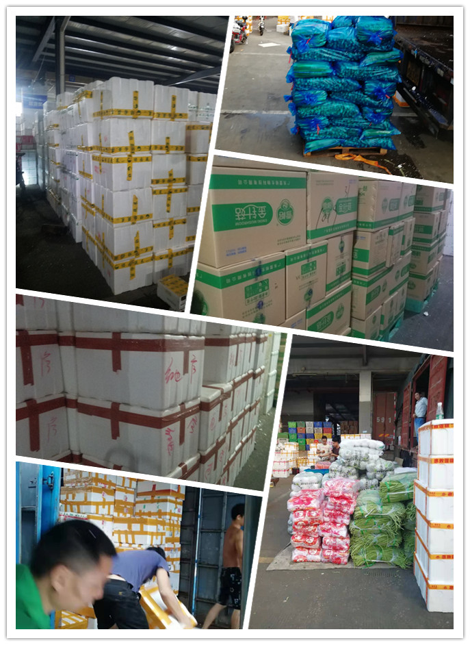 首页-PA集团有限公司官网入口