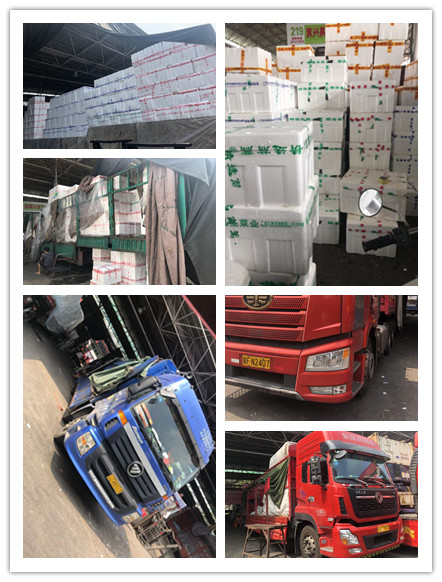 首页-PA集团有限公司官网入口