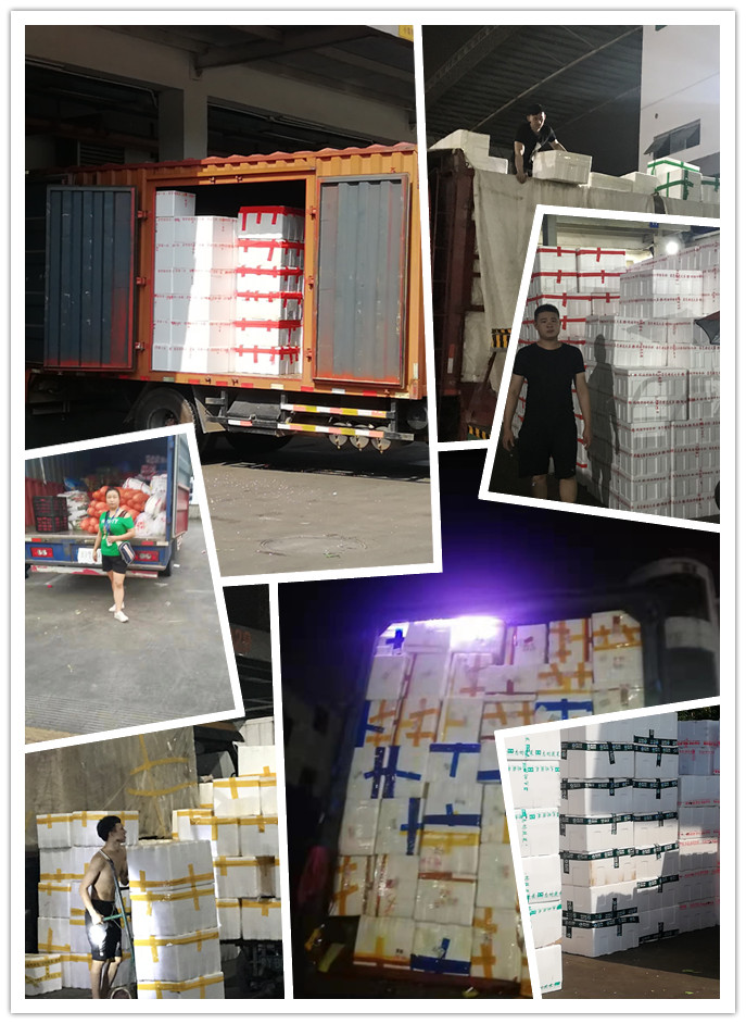 首页-PA集团有限公司官网入口