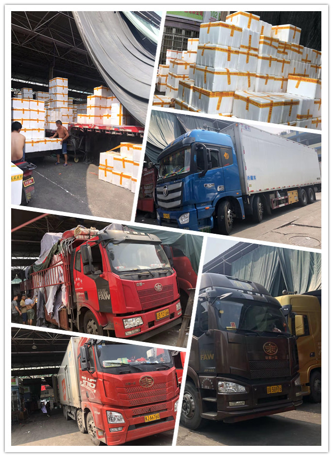 首页-PA集团有限公司官网入口