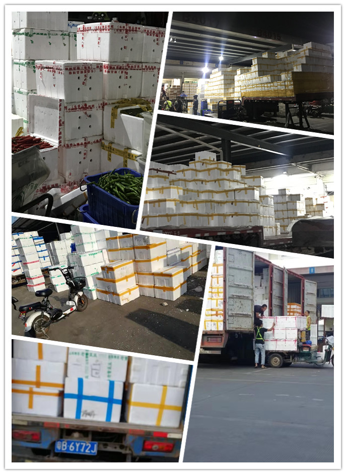 首页-PA集团有限公司官网入口