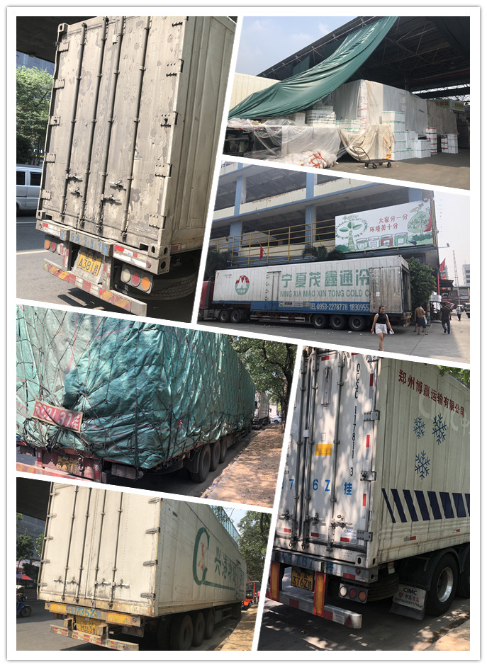 首页-PA集团有限公司官网入口