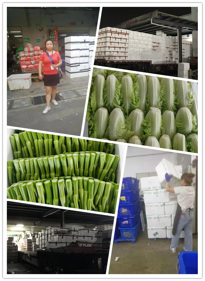 首页-PA集团有限公司官网入口