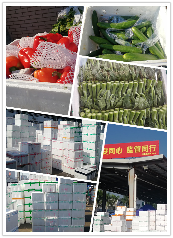 首页-PA集团有限公司官网入口