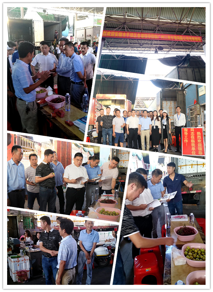 首页-PA集团有限公司官网入口