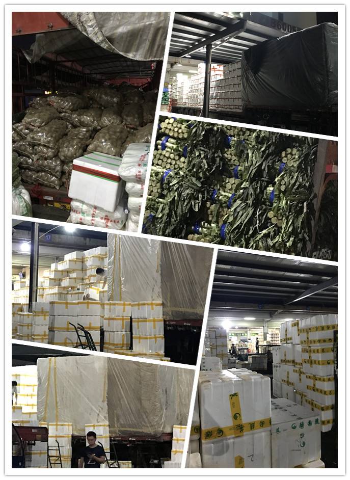 首页-PA集团有限公司官网入口