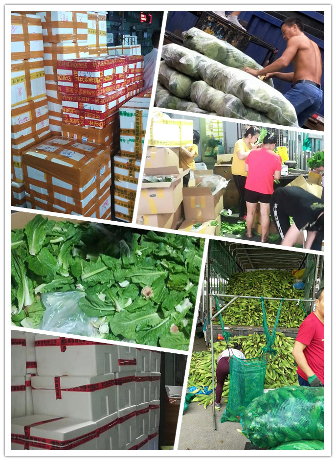 首页-PA集团有限公司官网入口