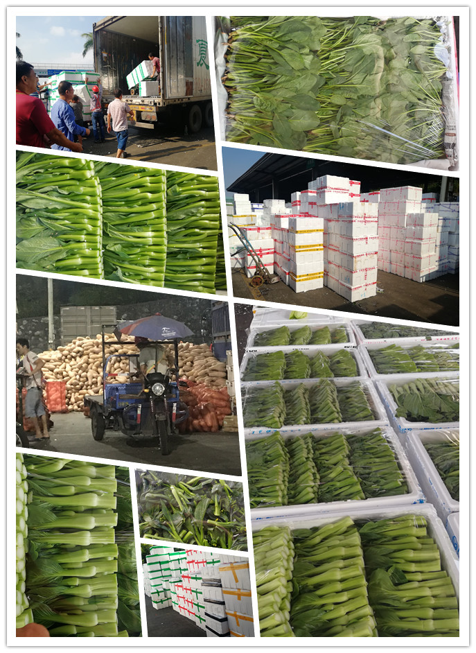 首页-PA集团有限公司官网入口