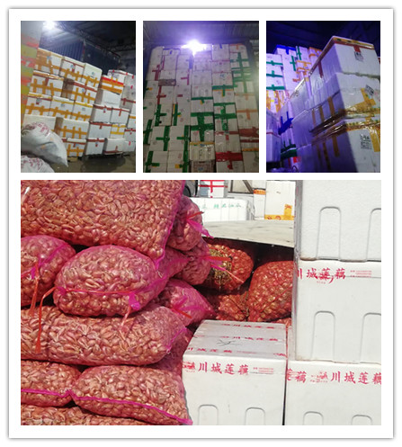 首页-PA集团有限公司官网入口