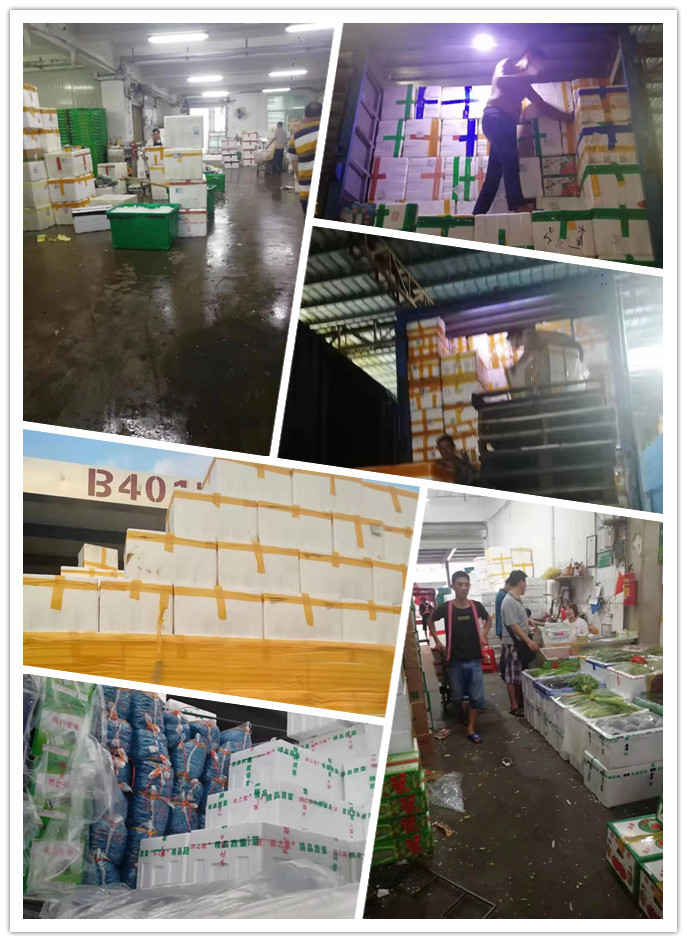 首页-PA集团有限公司官网入口