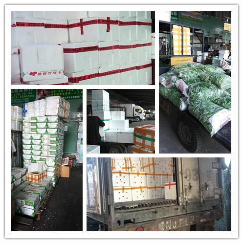 首页-PA集团有限公司官网入口