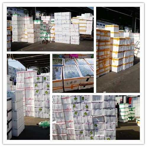 首页-PA集团有限公司官网入口