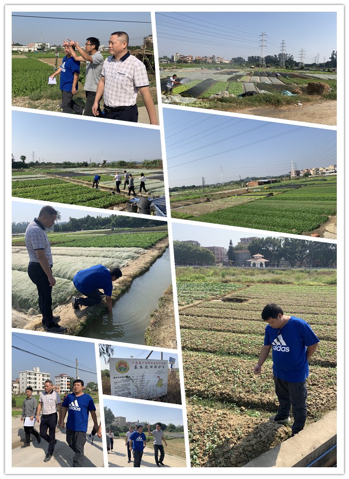 首页-PA集团有限公司官网入口