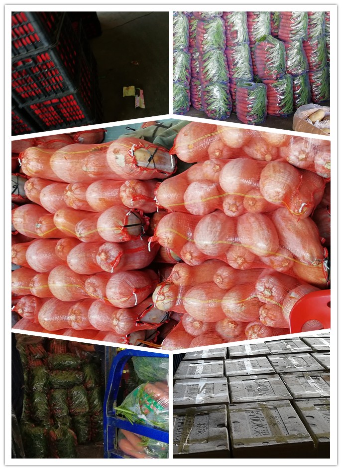 首页-PA集团有限公司官网入口