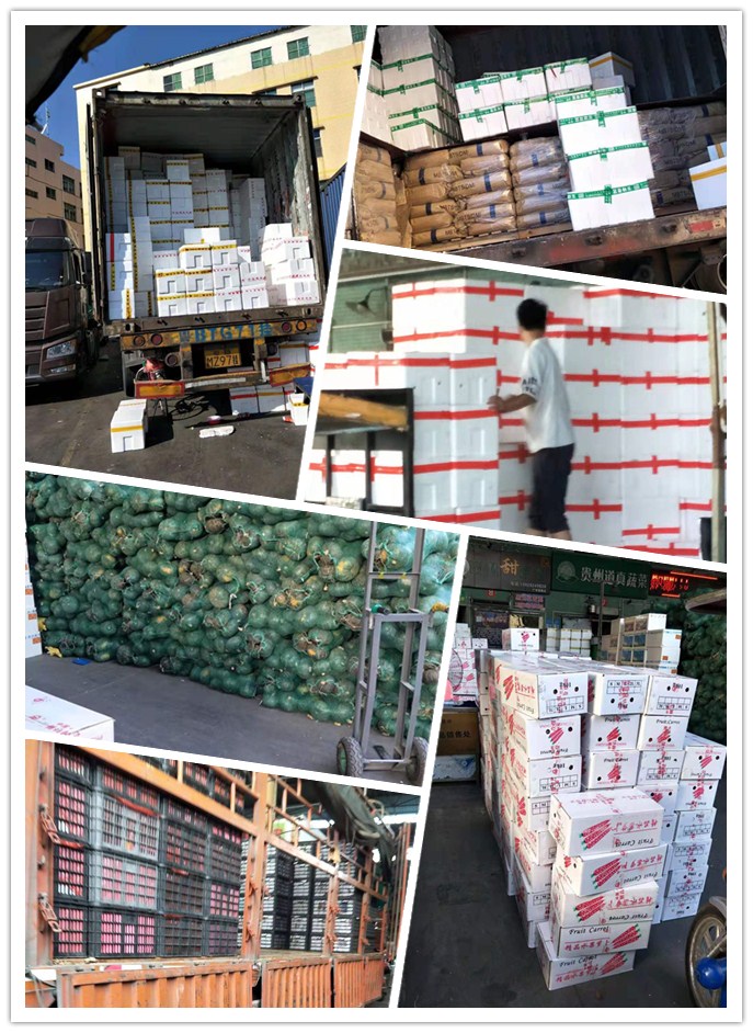 首页-PA集团有限公司官网入口