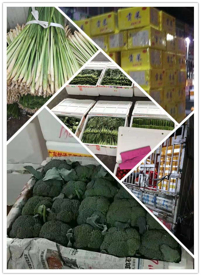 首页-PA集团有限公司官网入口